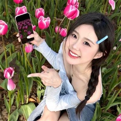 菠萝蜜之谜