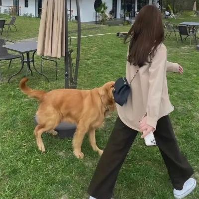 家庭入侵
